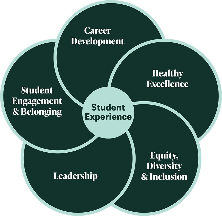 student experience diagram