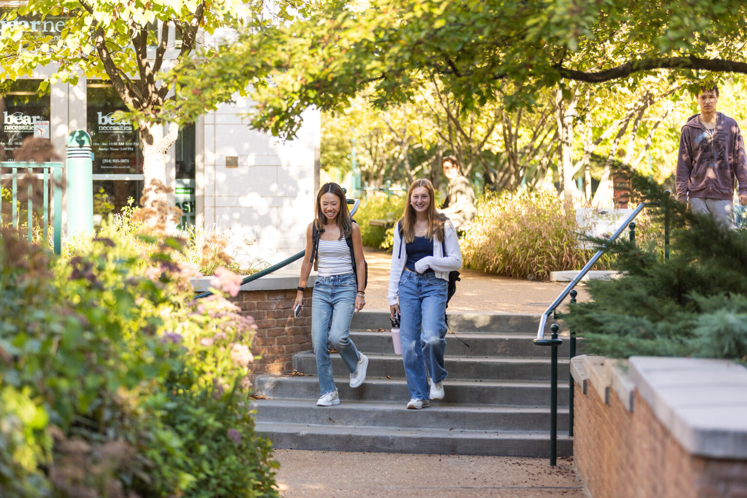 Washu Division Of Student Affairs