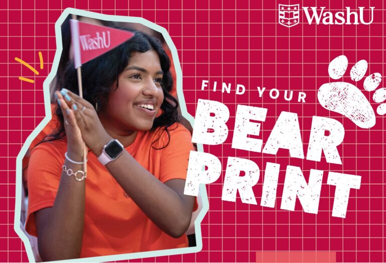 Find your bear print