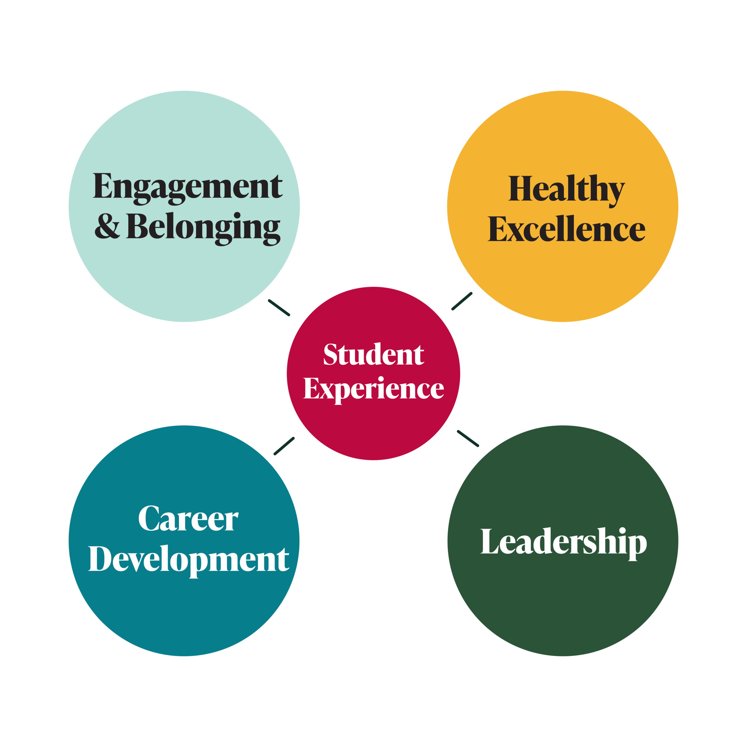 Student experience graphic highlighting the four anchors: engagement & belonging, healthy excellence, career development and leadership.